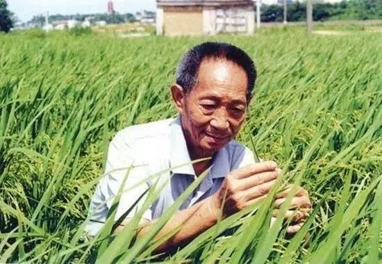 一日三餐，米香彌漫，飽食者當(dāng)憶袁公！